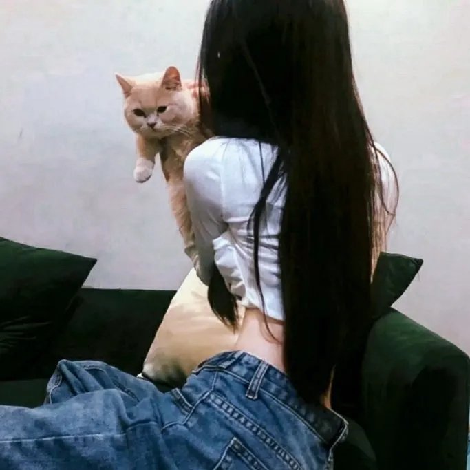 无境之兽